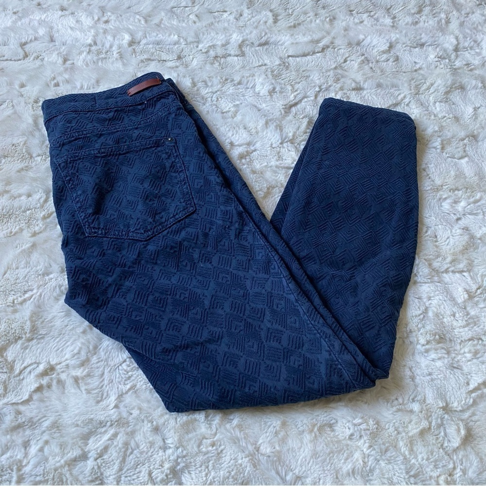 Pilcro and the Letterpress Anthropologie Blue Textured Script Skinny Jeans Sz 25